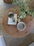 Oslo Coffee Table in Alder Wood