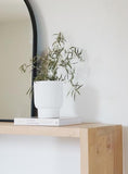 The Agave 6ft Sofa Table